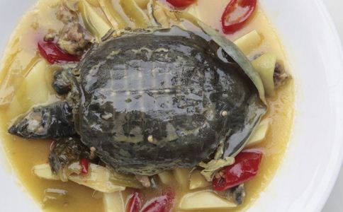 墮胎后能吃甲魚嗎 女人一定要注意飲食