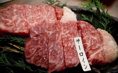 男人吃什么可以提高精子質量 魚貝類食物不可少