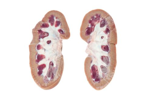 男人吃豬腎能治腎虛嗎 男人常吃豬腎的好處