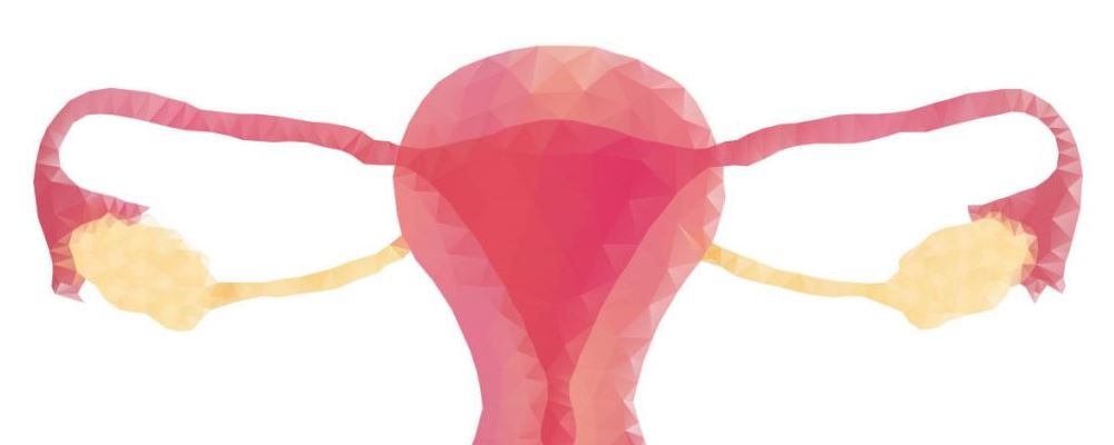女性身體4個部位至關重要 最要細心呵護