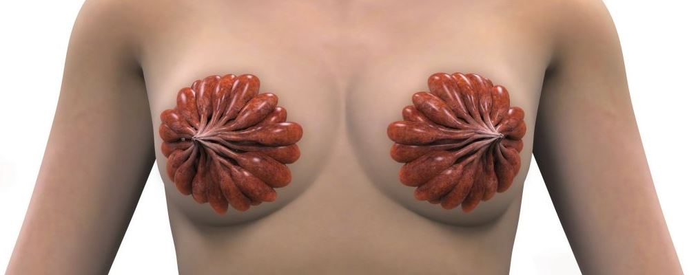 乳房保健多吃8類食物好 這些乳房知識(shí)你見得少