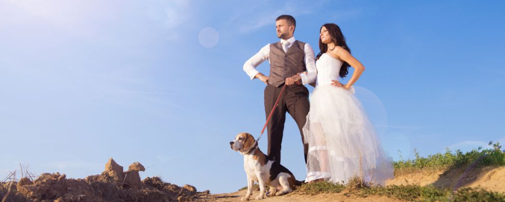 冷暴力是什么意思 夫妻冷暴力該怎么辦
