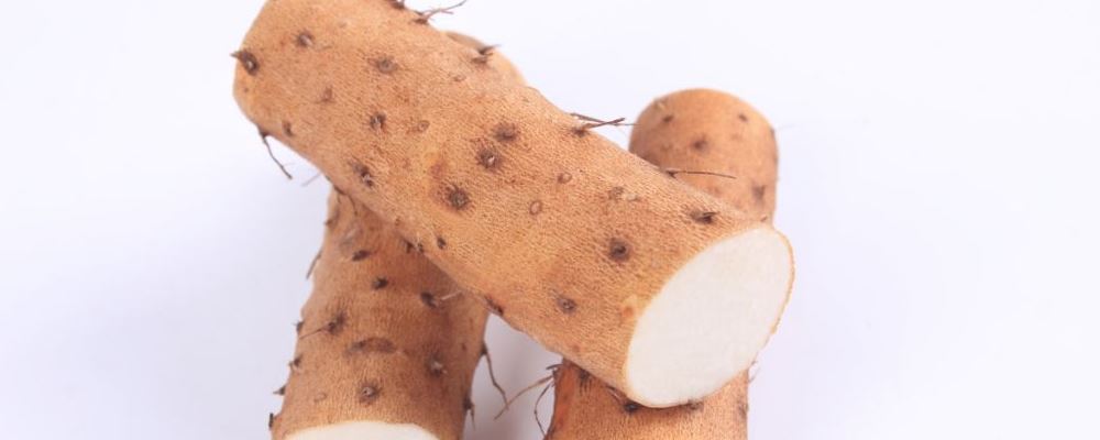 溫和補腎壯陽的食物有哪些 這12種管用