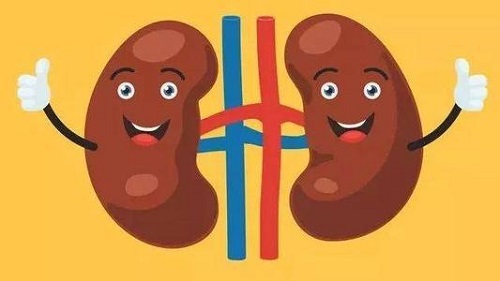 男性腎虧怎么解決 勝過補腎藥的四種黑色食物
