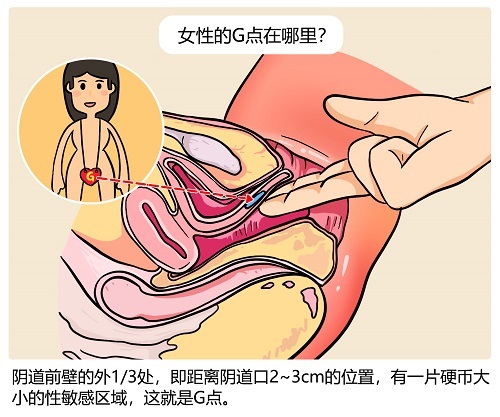 g點按摩方法是什么 女性的G點在哪里