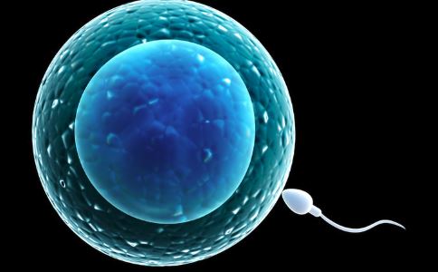 怎么提高精子質(zhì)量 通過10中方法來進(jìn)行嘗試