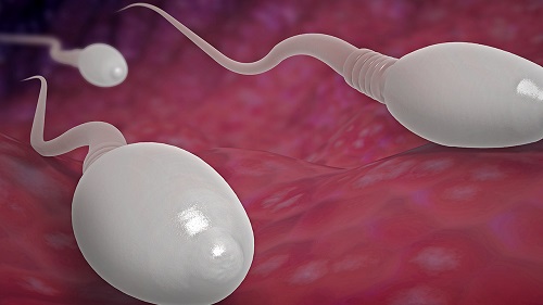 精液美容是不是真的 精子有美容養顏作用嗎