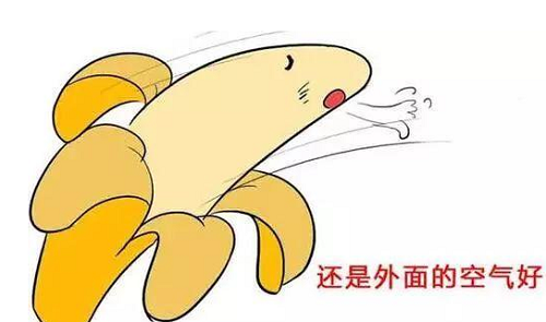 包皮是什么 男性包皮詳細介紹