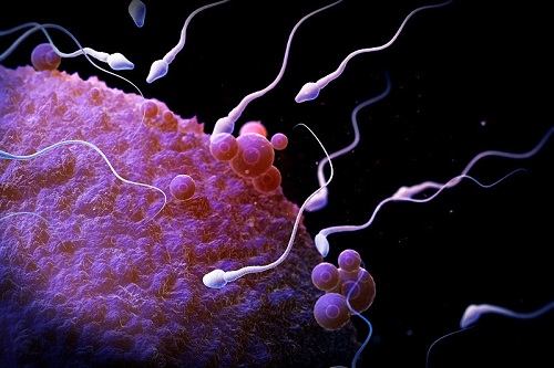 精液氣味與男性健康有什么關(guān)系 精液的簡單檢測方法一覽