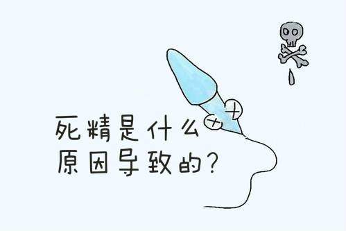 什么原因導致男性死精癥 男人死精癥應該怎么治療好
