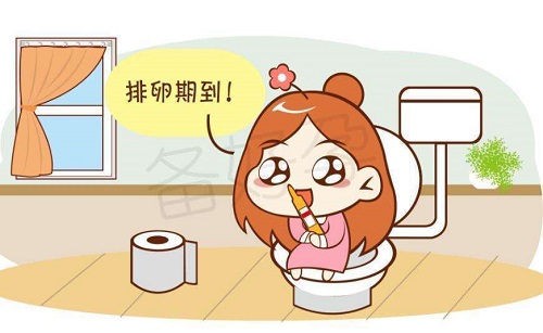 排卵期是什么時候 女性排卵期有什么明顯癥狀