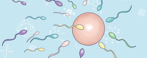 男性最佳生育年齡是什么 科學生育提升生育質量