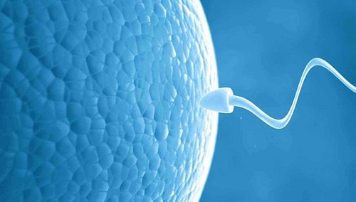 精子于女性體內存活多久 男性精子體外存活時間一覽