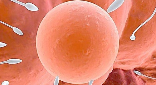 怎么確認精子是不是進去了 本文分享判斷精子進入女性子宮的方法