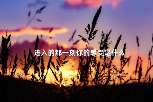 被進入的那一瞬間是什么感覺 本文盤點性愛被進入那一刻的感受