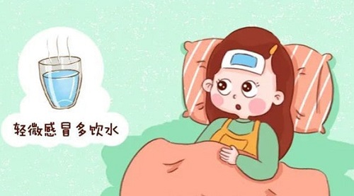 女性備孕期間感冒怎么辦 備孕期間感冒能不能吃藥