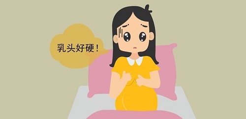 女性乳頭為什么會變硬 本文分享女性乳頭變硬的原因