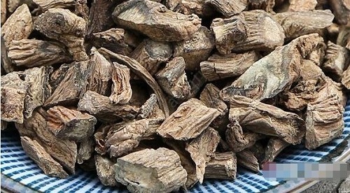 川斷泡水能提高性功能嗎 川斷要怎么正確泡水喝