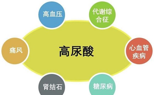 尿酸高是什么引起的原因 尿酸高應該怎么預防