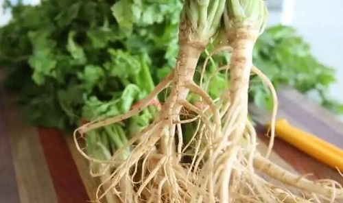蕁麻疹最怕三個土方法是什么 盤點11種蕁麻疹過敏源