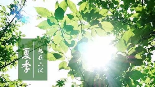 三伏天怎么排濕氣寒氣 盤點(diǎn)三伏天排濕寒的四種方法