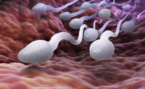 一丁點精子可以懷孕嗎 精子在身體里存活幾天