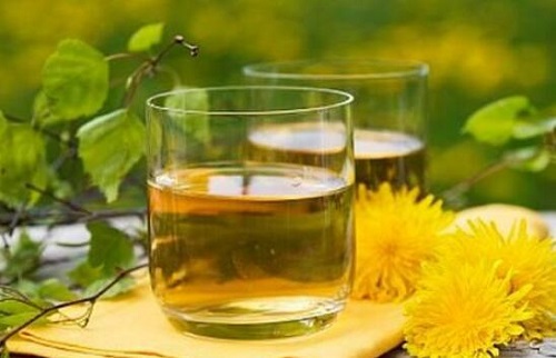 蒲公英泡水喝竟有6個(gè)害處是什么 蒲公英泡水喝好不好