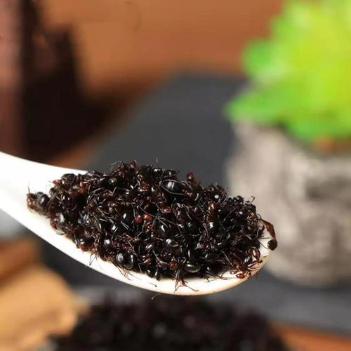 黑螞蟻能治陽痿嗎 陽痿吃什么食物最好