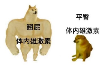 為什么有些男生屁股比較翹 為什么找男朋友要找屁股翹的