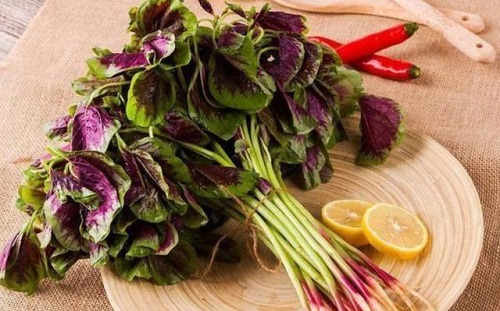 莧菜哪三種人不能吃 為什么夏天不能吃莧菜