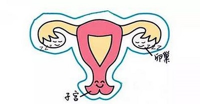 子宮內膜增厚怎么治療最好 子宮內膜厚度多少正常