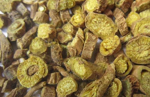 黃芩的功效與作用是什么 服用黃芩需要注意什么