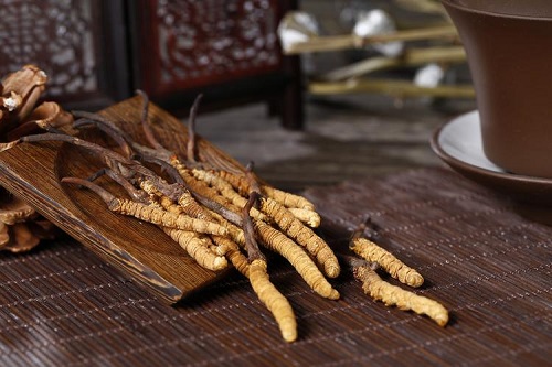 蟲草可以連續(xù)吃嗎 吃蟲草忌什么