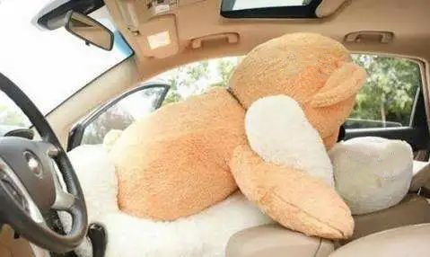 車震有什么注意事項 車震本身就是一種性刺激