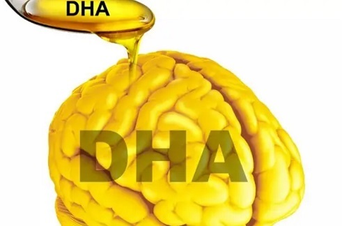 dha可以提高記憶力嗎 dha真的可以補腦嗎