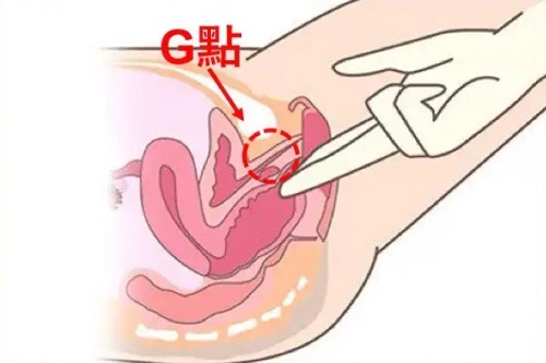 把女朋友弄成小噴泉的手勢是什么 怎么用手指讓女性潮吹