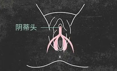 用手怎么才知道是C點 男生用手找到陰蒂方法是什么