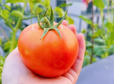 吃什么水果可以美容養顏 盤點四種對顏值有幫助的水果