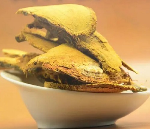 秋季補腎應該吃什么 哪些食物的補腎效果最好