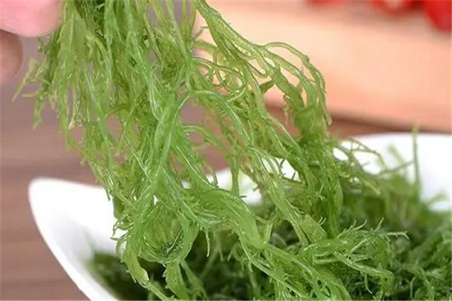 孕婦可以吃龍須菜嗎 龍須菜的功效與作用是什么