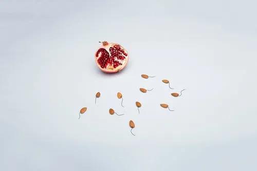 女生私處是不是都一個(gè)樣 女性私處有哪些形狀