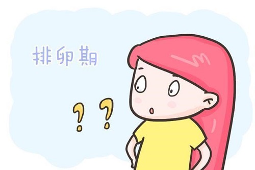 排卵期是在什么時候開始 女性排卵期應該怎么計算
