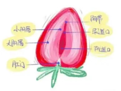 平躺的自我安慰方法是什么 女性自慰應(yīng)該怎么做