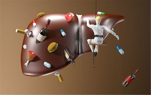 脂肪肝吃什么才能減掉肝上的脂肪 脂肪肝怎樣調理才能徹底治愈