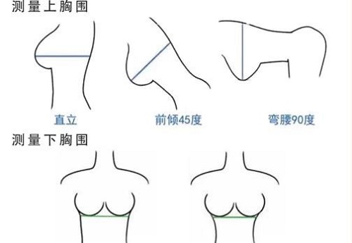 文胸尺碼選擇怎么做 女人怎么選擇合適的內(nèi)衣尺碼