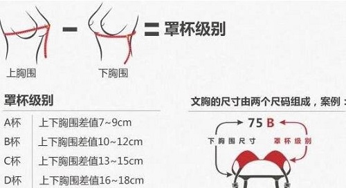 罩杯怎么分 女性不同罩杯的差別是什么