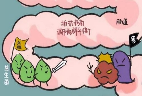 醫生為什么不建議吃益生菌 益生菌養胃還是傷胃