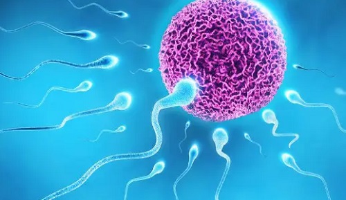 女人吃精子有沒有好處 女人吃精液有哪些好處