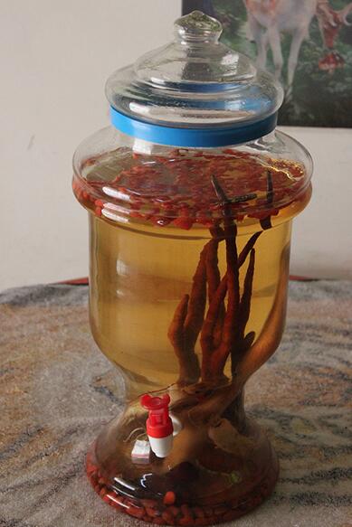 枸杞鹿茸酒有什么功效 哪些人不適合飲用枸杞鹿茸酒