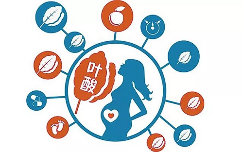 什么樣的食物含葉酸最多 葉酸片對(duì)男性性功能有好處嗎